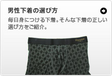 £�뵤���������ڤ����Ǥ��Ϥ����ޤ������եȥ�åԥ󥰥����ӥ�