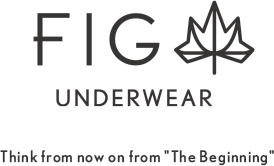 FIG のロゴ