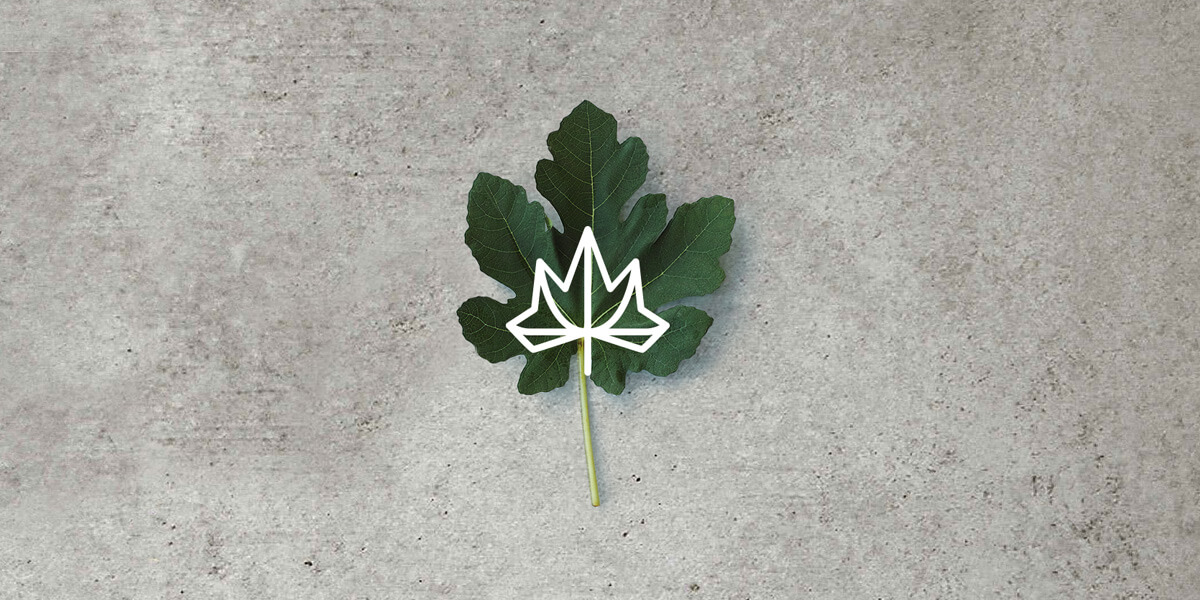 ブランドイメージ