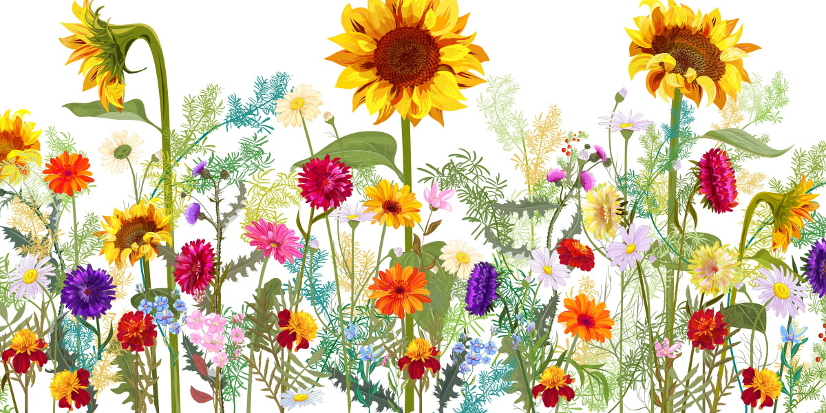 BOSS ストア 六本木ヒルズ 20周年