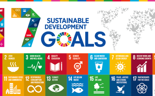 Sustainable Development Goals(サステイナブル・デベロップメント・ゴールズ)